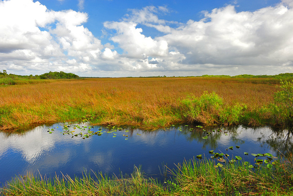 Everglades National Park FL